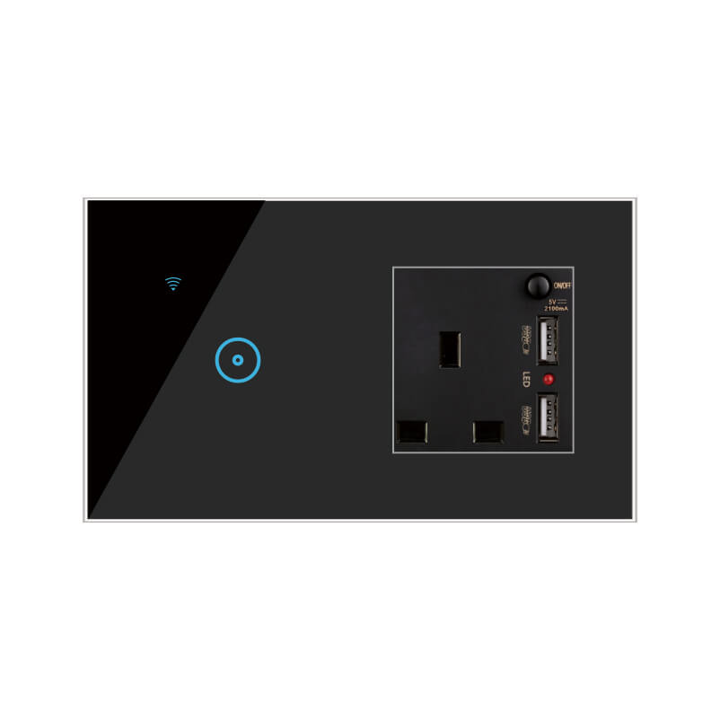 1 gang Smart Switch & Socket